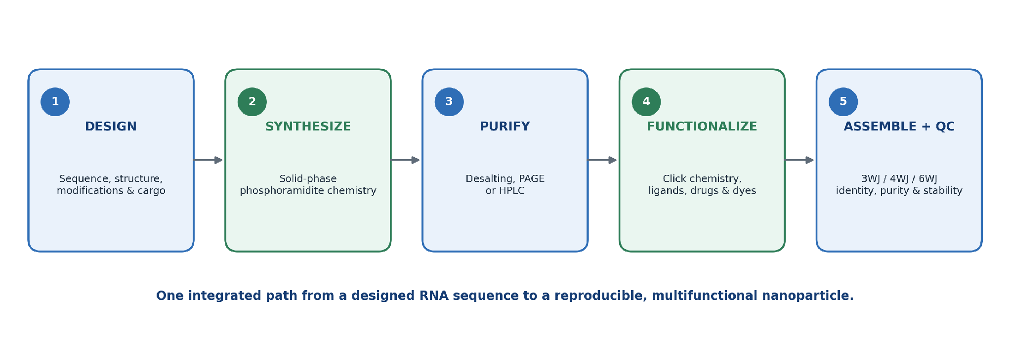 RNA Nanotechnology Workflow